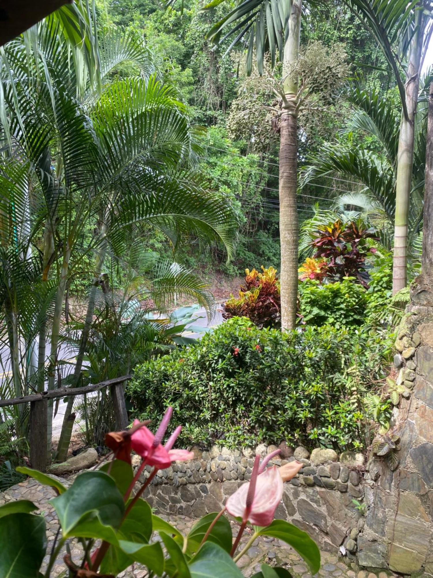 Eco Hostal La Perla Tayrona Эль-Саино Экстерьер фото